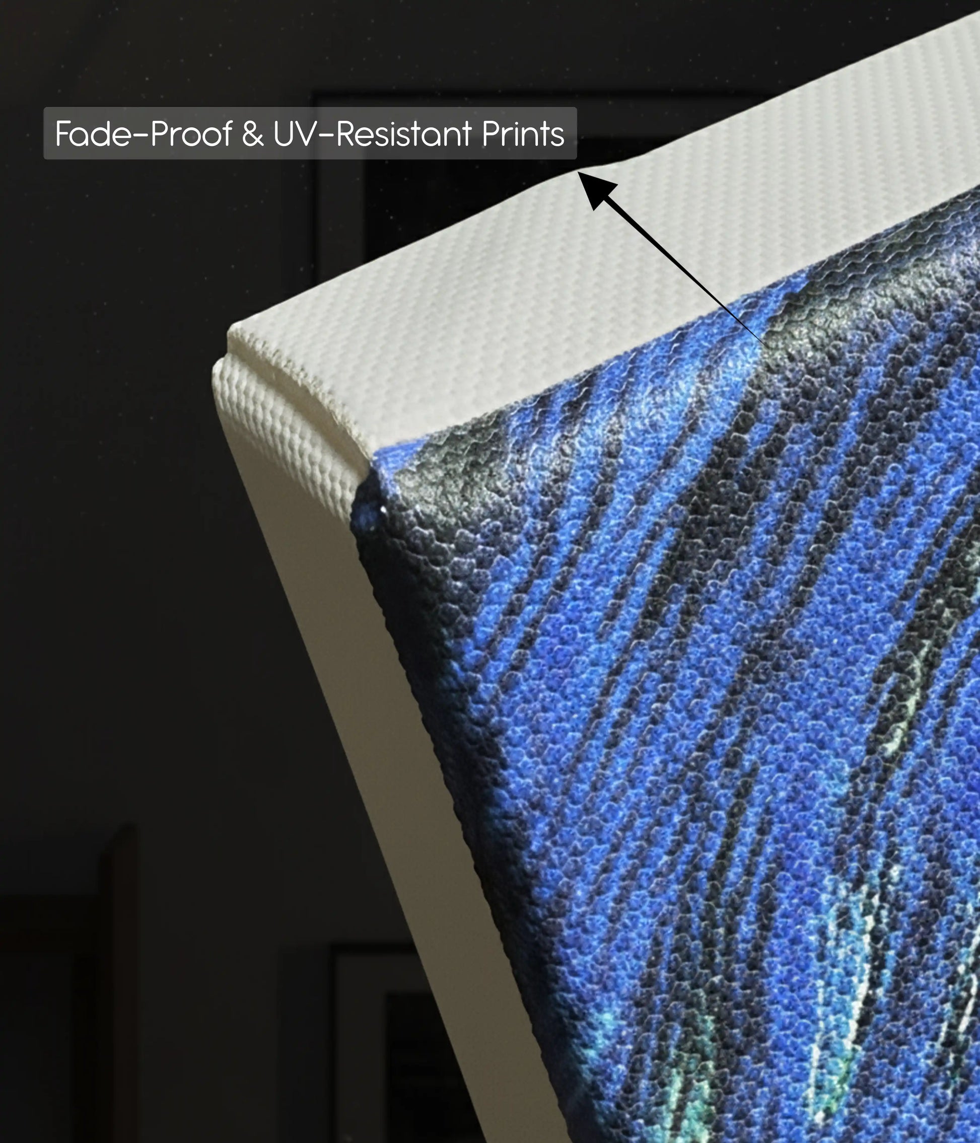 Fade Proof & UV-Resistant Canvas Prints - Everanta