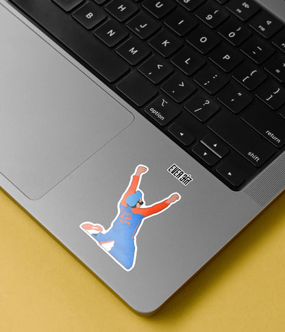 Indian Cricket Stickers Pack on Laptop front - Everanta